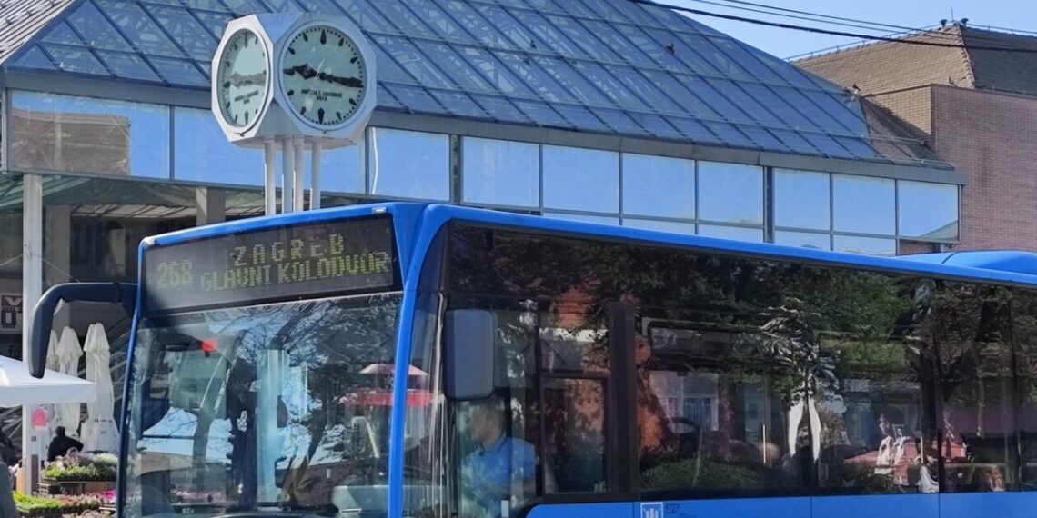 žene i djevojke