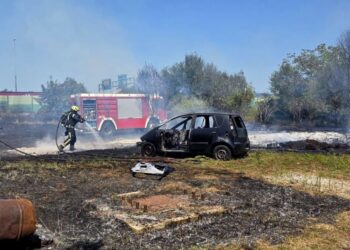 Opušak izazvao veliki požar