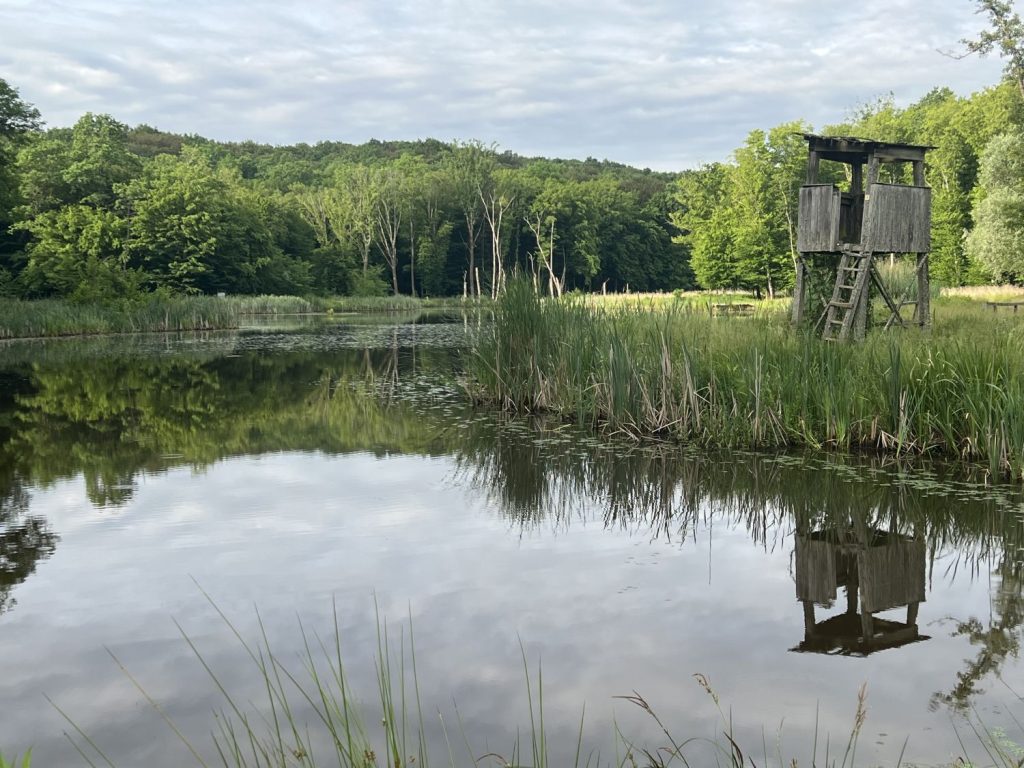 jezero sudarice i šuma marča zagrebačka županija