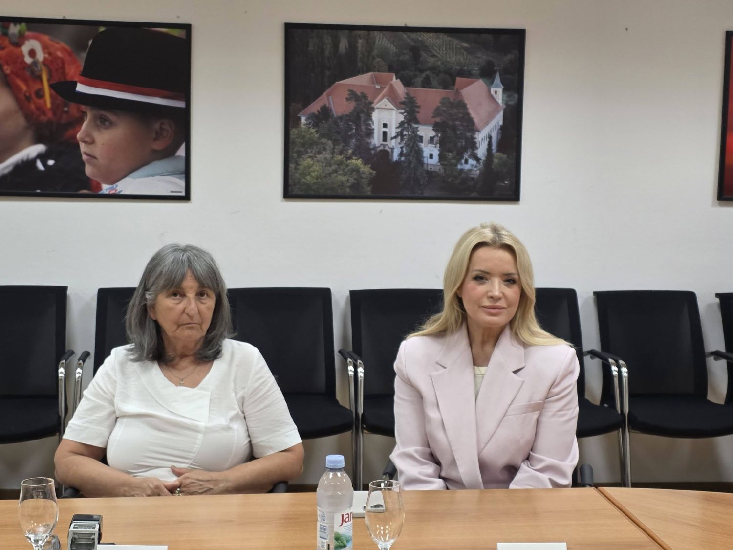 manifestacija