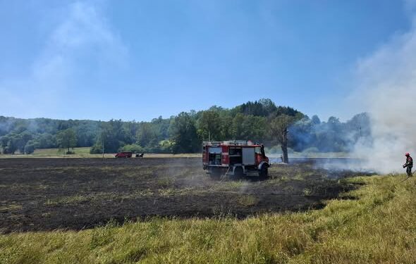 Požar trave u Hotnji: Brzom intervencijom vatrogasaca spriječeno širenje vatre