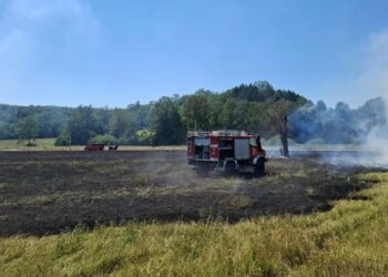 Požar trave u Hotnji: Brzom intervencijom vatrogasaca spriječeno širenje vatre