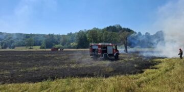 Požar trave u Hotnji: Brzom intervencijom vatrogasaca spriječeno širenje vatre