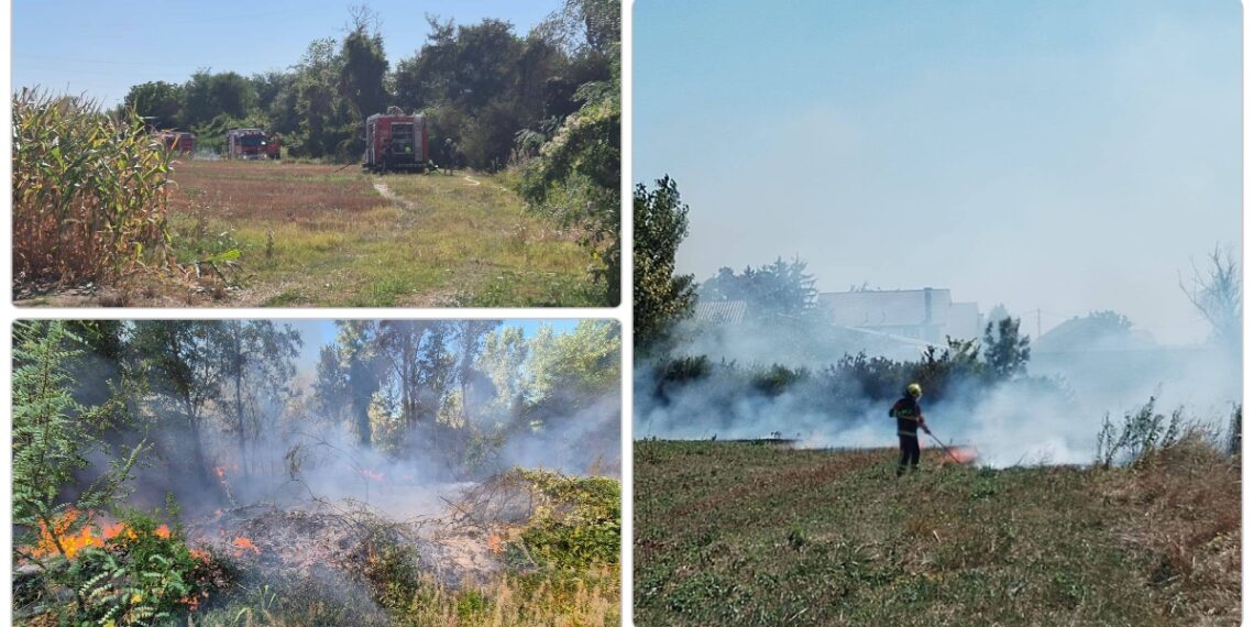 Požari trave i šikare kod Mičevca: Vatrogasci se satima borili s vatrom