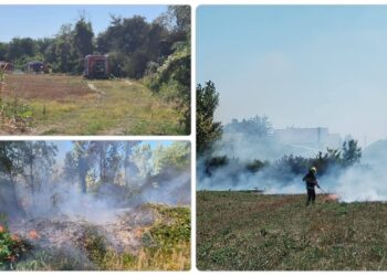 Požari trave i šikare kod Mičevca: Vatrogasci se satima borili s vatrom