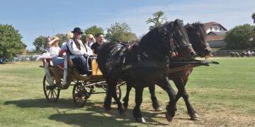 Konji i zaprege ponovno okupili brojne posjetitelje