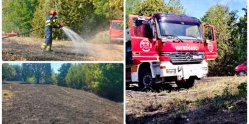 Požar u Donjem Hruševcu zahvatio travu