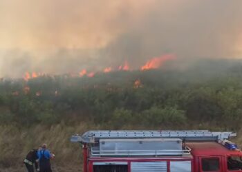 Veliki požar u Ruči gasili četiri sata