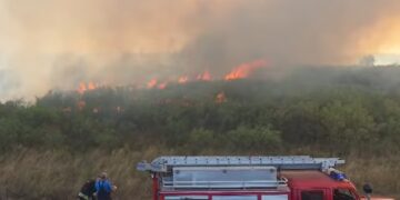 Veliki požar u Ruči gasili četiri sata