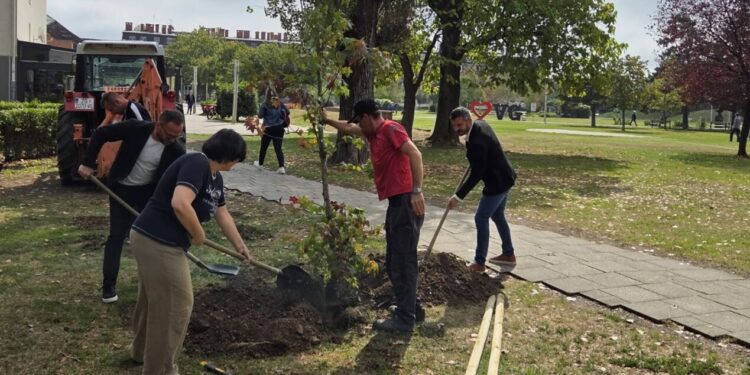 U gradskom parku posađena nova stabla