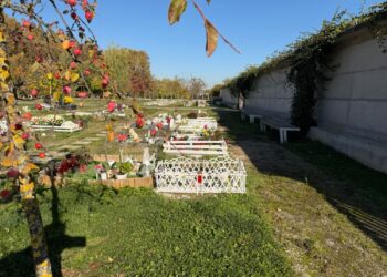 I ljubimci imaju svoje posljednje počivalište