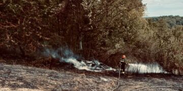 požar livade kod kravarskog