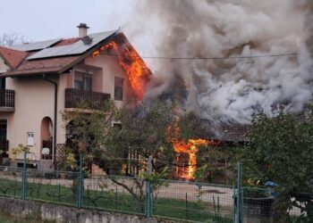 Plinsko kuhalo izazvalo požar